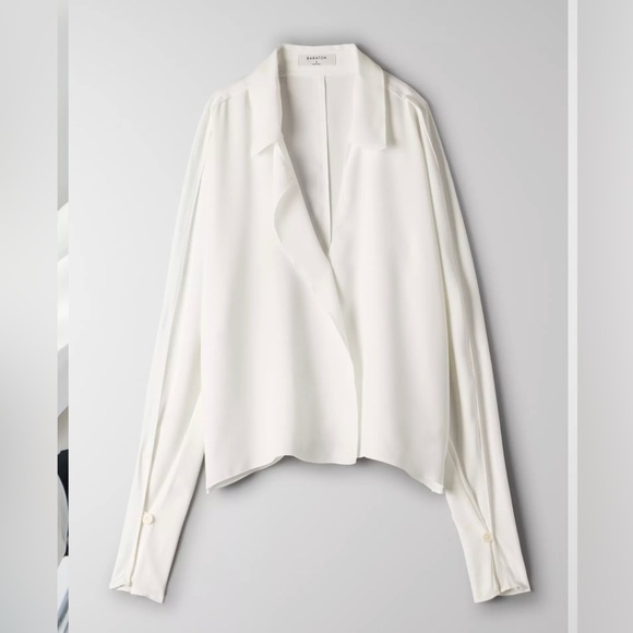 BABATON Martin Blouse Aritzia - Picture 3 of 8